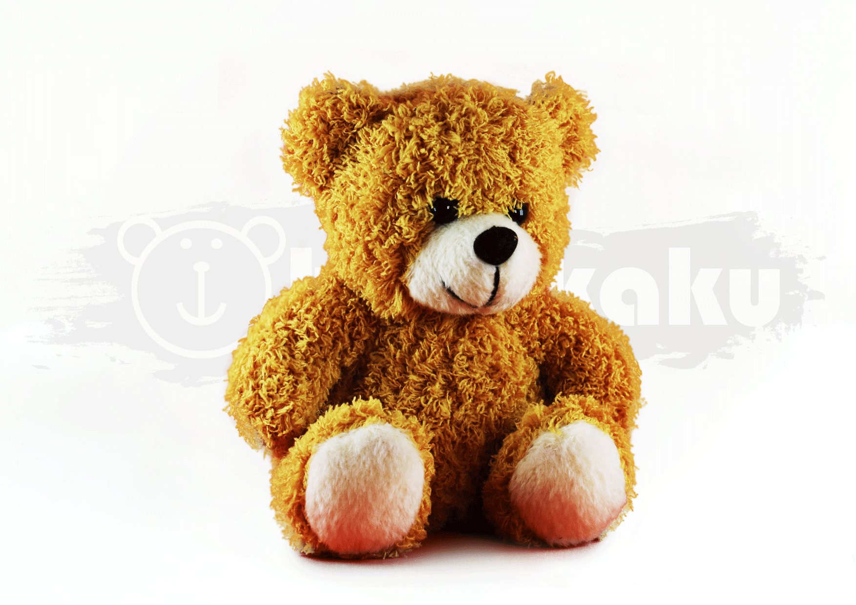 Boneka Souvenir - Classic Bear